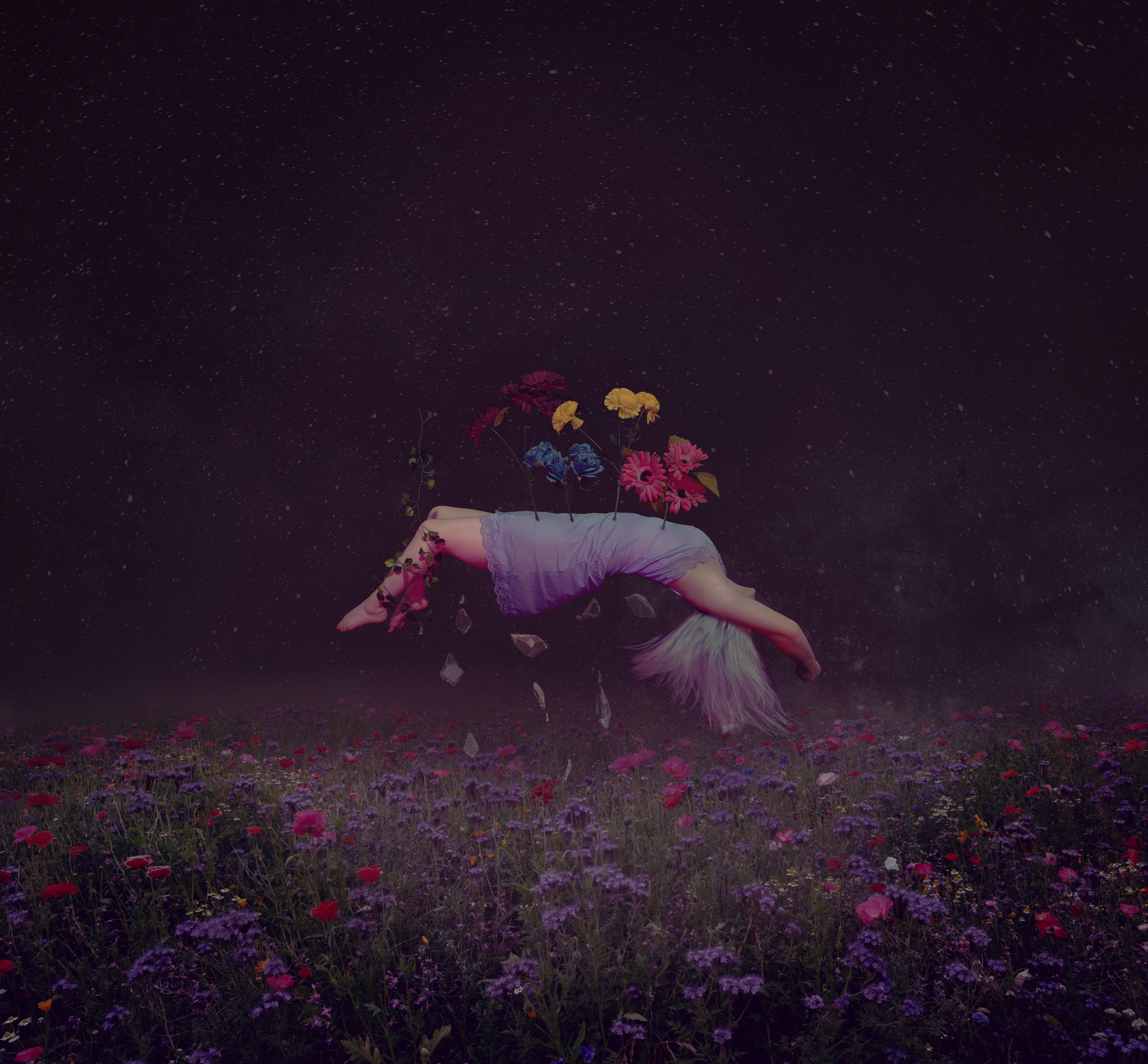 Bloom
